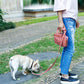 Leash Purse with Poop Bag Dispenser & Storage