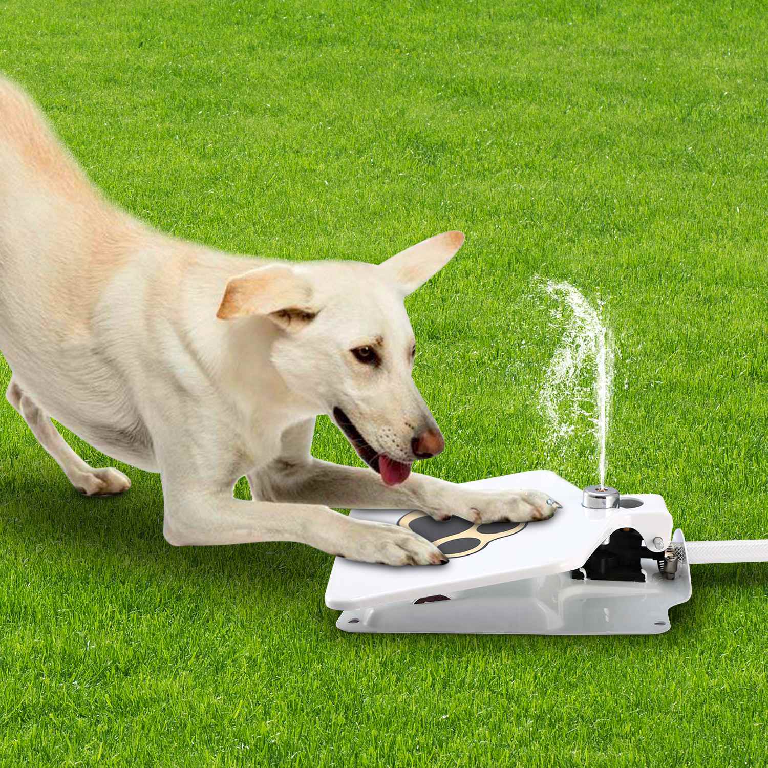 Dog activated sprinkler clearance toy